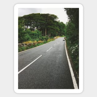 Dartmoor National Park - Cement Road on Rainy Day (Devon, England) Sticker